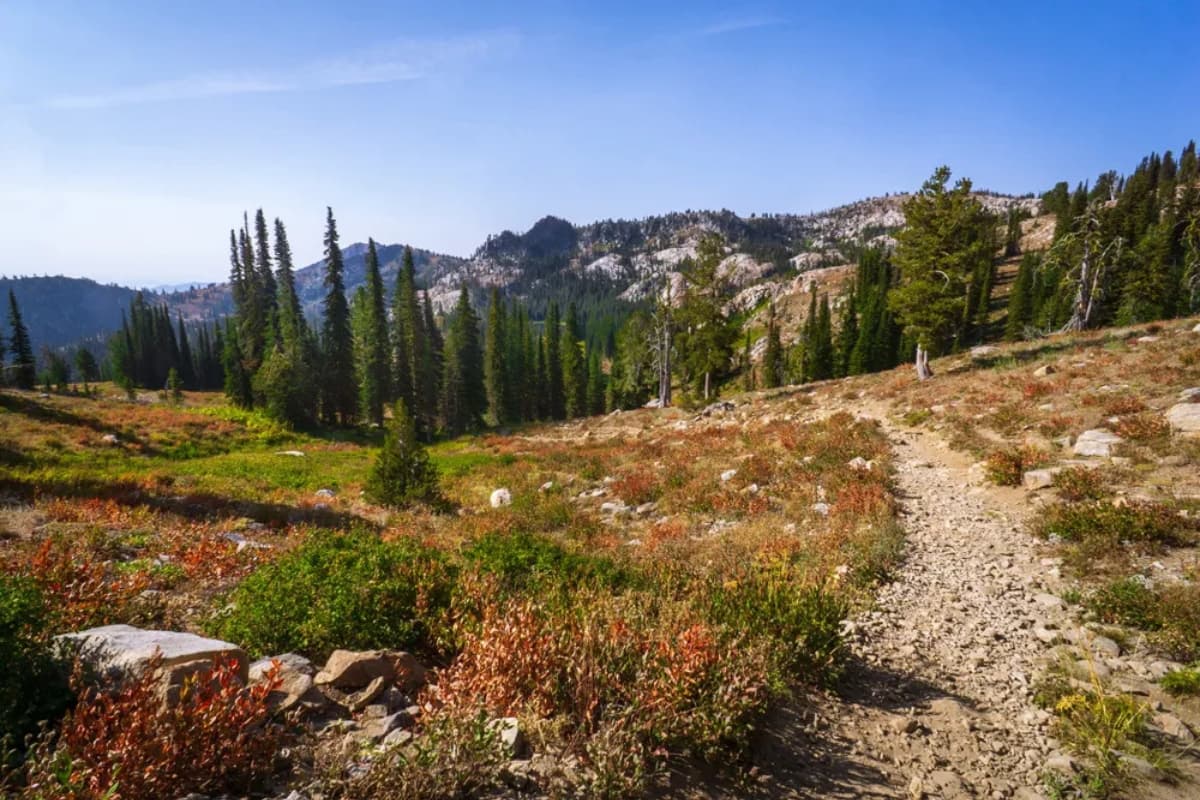 Mountain hiking trail through an alpine meadow with pines and rocky peaks near Cascade, Idaho